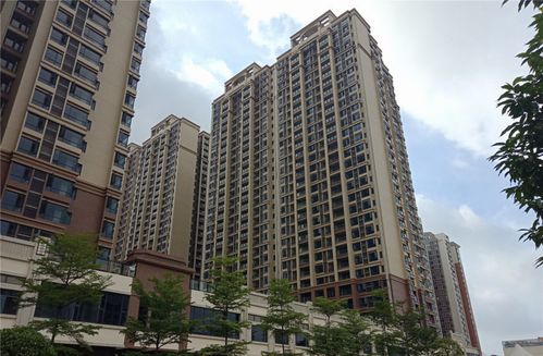 肇慶市僑興物業(yè)攜手極致科技,共建多元化智慧物業(yè)管理平臺(tái)