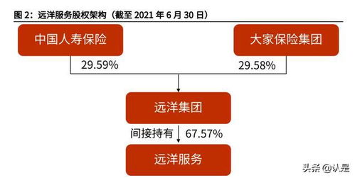遠洋服務研究報告 品質立身,中高端服務優勢凸顯