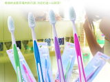 韓國廚房生活用品 熱門產(chǎn)品、價格參考與選購指南